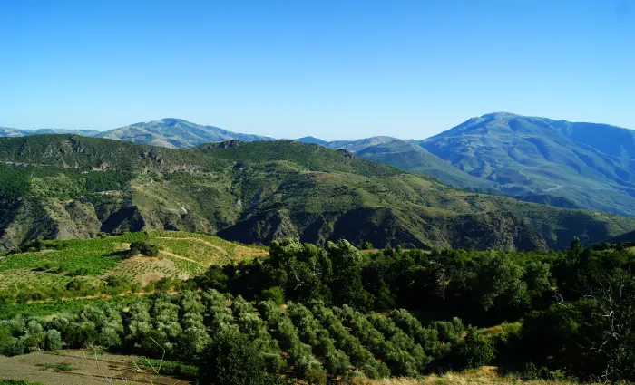 La Taha (Pitres)