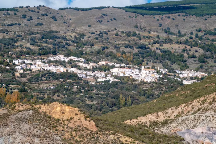 Bar Robles