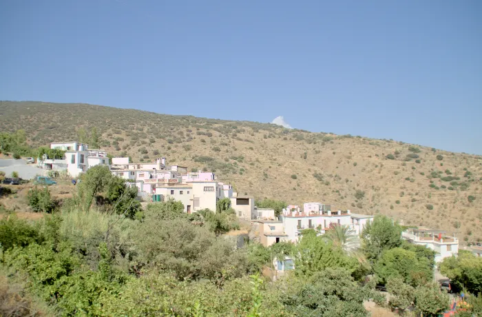 Nechite