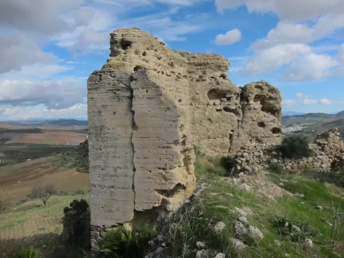 Turón